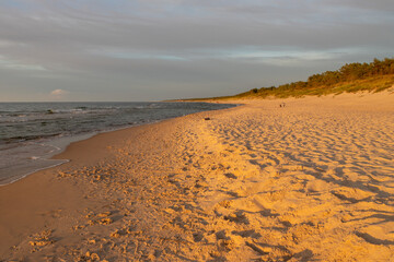 Plaża nad morzem Bałtyckim - obrazy, fototapety, plakaty