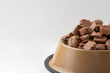 Nutritive dog meat. Copy space.
