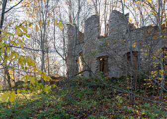 ruins of manor