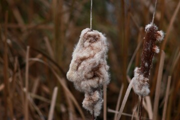 Autumn in Seymsky Regional Landscape Park