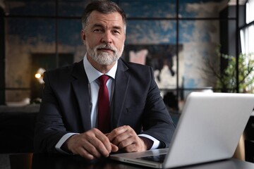 Mature businessman working on laptop. Handsome mature business leader sitting in a modern office