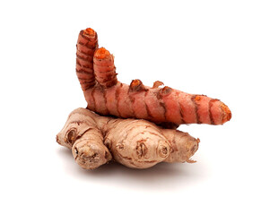 bulbes de gingembre et curcuma isolés sur fond blanc