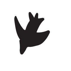 Birds hand drawn illustration for your design