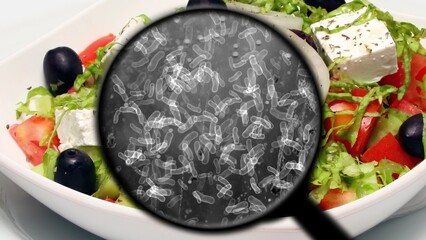 Searching for bacteria in vegetables