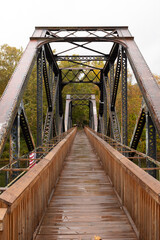 Railroad bridge bridge in the forest.