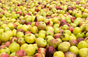 Apples in an open air market.