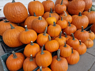 Autumn pumpkin stall in the vegetable store, preparing for Halloween.