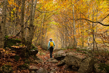 Asian girl walking in an Autumn Forest Landscape with autumn leaves path and with golden foliage. Path in autumn forest scene nature. In October, in the Aran Valley (Val de D'Aran) Pyrenees, Spain.