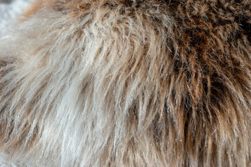 Brown faux fur with long pile, close up