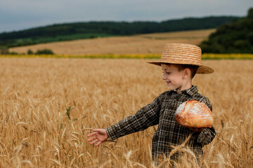 Naklejka na ściany i meble Little boy in the straw hat and shirt he held out his handing with bread in ripe grain. concept poverty, crisis, famine