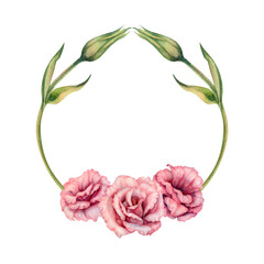 Watercolor pink eustoma flowers, buds and leaves. Hand drawn illustration. Elements isolated on white background.