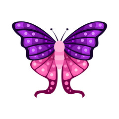 Isolated purple butterfly vector illustration