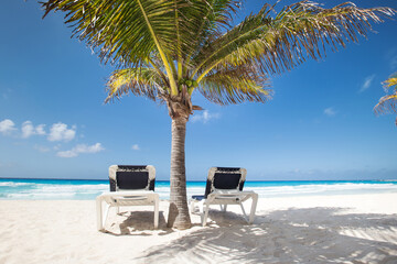 Two beach beds under palm tree on beachfront