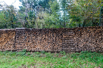 Brennholz lagert im Freien auf einer Wiese