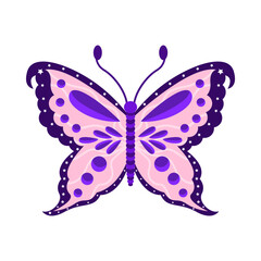 Isolated purple butterfly vector illustration
