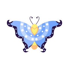 Isolated blue butterfly vector illustration