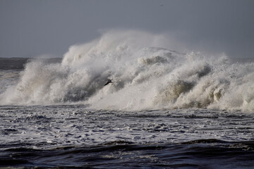 Detailed stormy breaking wave