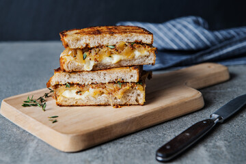 Gourmet grilled cheese sandwich with caramelized onions