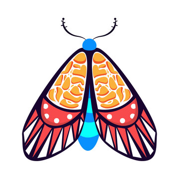 Isolated clors moth vector illustration
