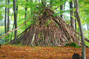 Pädagogik im herbst, tipizelt im buchenwald