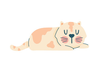 cute little cat lying