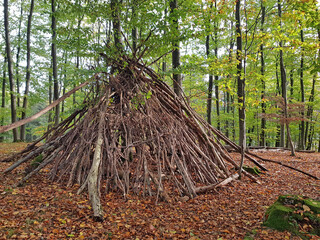 pedagogy in autumn, tipi tent in the beech forest