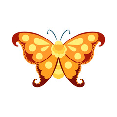 Isolated yellow butterfly vector illustration