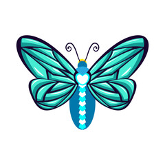 Isolated green butterfly vector illustration