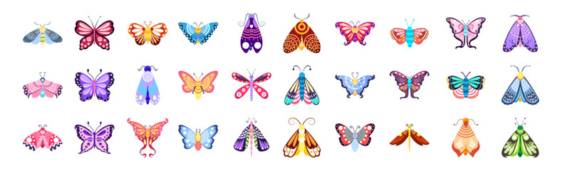 Set group butterfly insects vector illustration