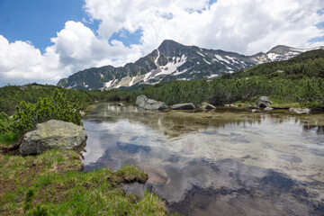 Summer view of Pirin Mountain near Popovo Lake, Bulgaria