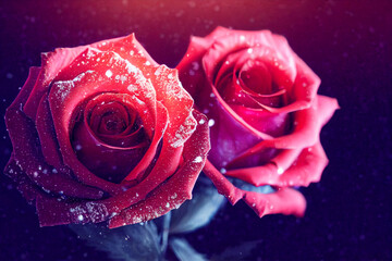 Frosted Roses, Made by AI, Artificial Intelligence