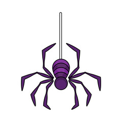 Isolated spider hallowen vector illustration