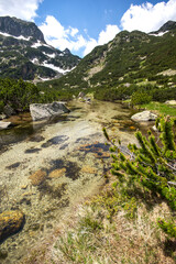 Summer view of Pirin Mountain near Popovo Lake, Bulgaria