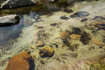 Summer view of Pirin Mountain near Popovo Lake, Bulgaria