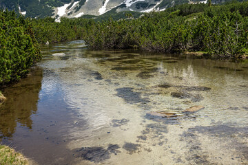 Summer view of Pirin Mountain near Popovo Lake, Bulgaria
