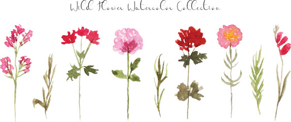 a set of cute wild flower watercolor