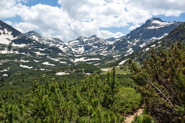 Summer view of Pirin Mountain near Popovo Lake, Bulgaria