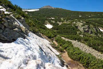 Summer view of Pirin Mountain near Popovo Lake, Bulgaria