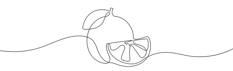 Orange Line Art Drawing. Continuous Line Drawing of Orange . Vector illustration