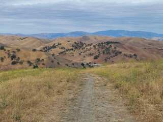 Summer gives the Landscape of the Northern California it's typical golden look