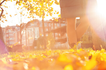Legs of a girl walking through the foliage in the autumn park