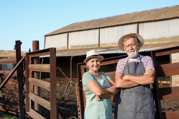 Mature workers near paddock on farm