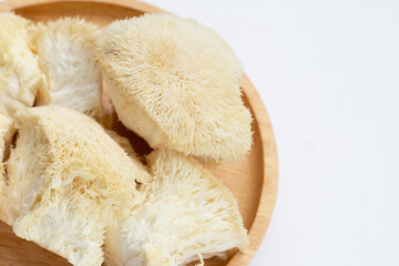 Fresh rare lion's mane mushroom