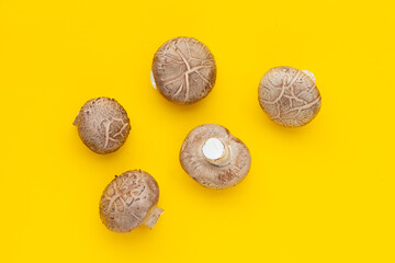 Fresh shiitake mushrooms on yellow background.