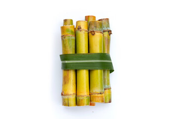 Sugar cane on white background.