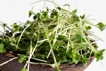 Organic kale sprouts on white background.