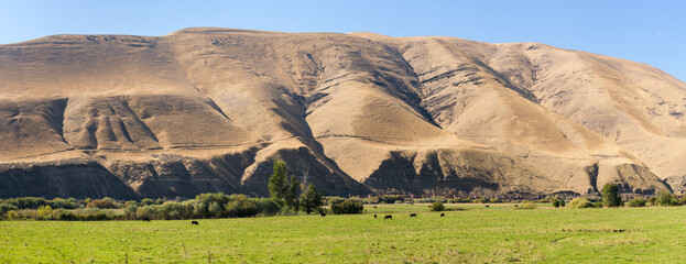 Panoramic scenic of the Lmuma Creek area of the Yakima Canyon with green field and dry hill