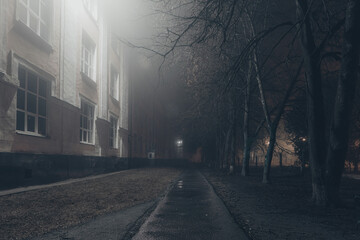 Fototapeta na wymiar Street at night in fog