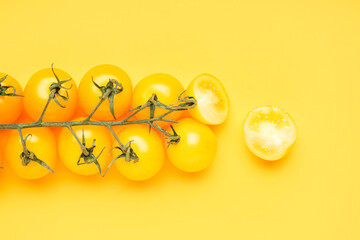 Branch of fresh yellow tomatoes on color background