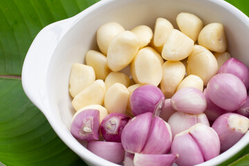 Fresh garlic with shallot on green leaf